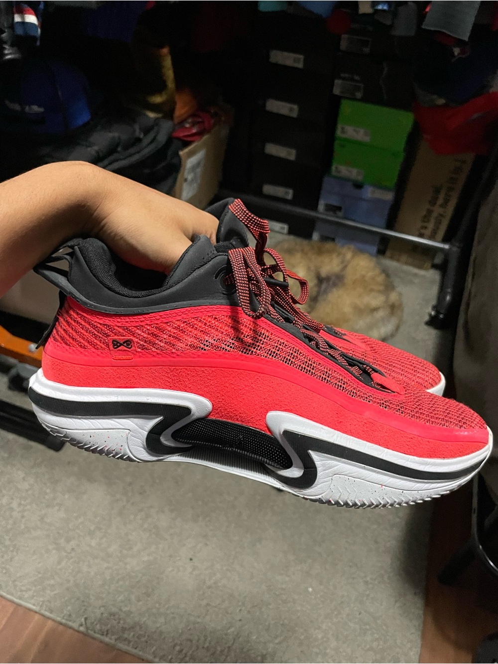Jordan 36 Low Flipped Infrared Size 11.5